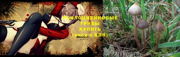 ALPHA PVP Каменка