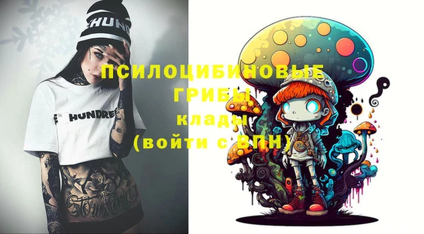 ALPHA PVP Каменка