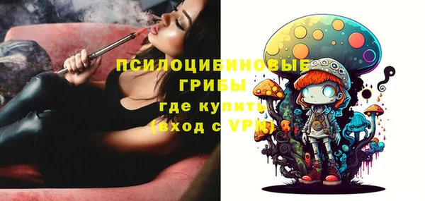 ALPHA PVP Каменка