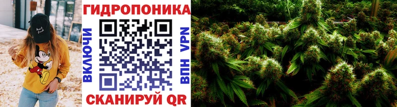 Каннабис план  Сураж 